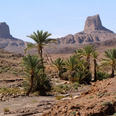 Photo Massif du Saghro et dunes du Drâa